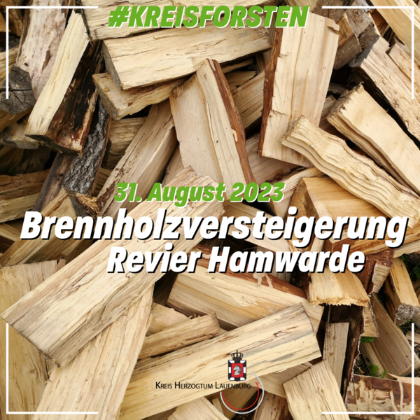 Brennholzversteigerung der Kreisforsten Herzogtum Lauenburg im Revier Hamwarde