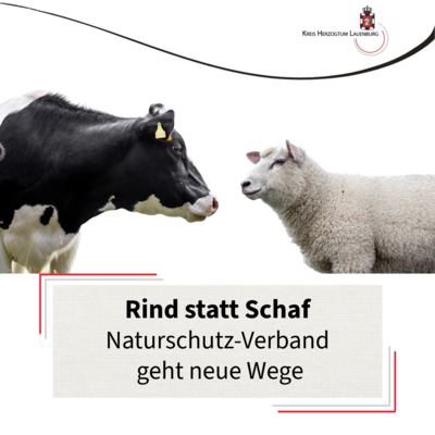 Symbolbild