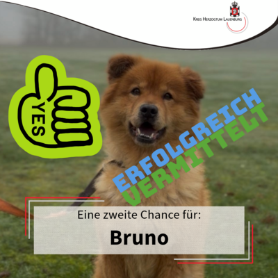 Bruno-vermittelt