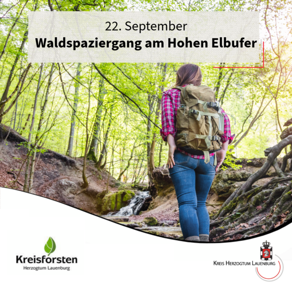 Waldspaziergang