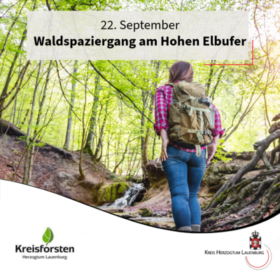 Waldspaziergang