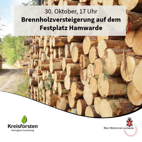 Brennholzversteigerung