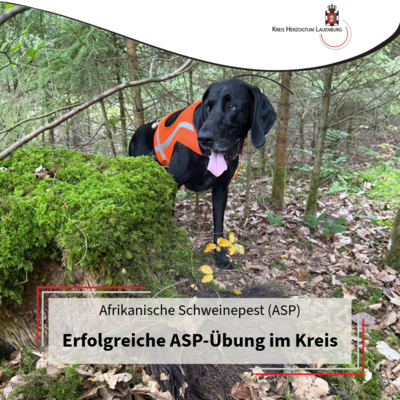 ASP-&Uuml;bung
