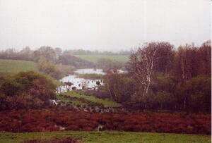 Das Hellmoor