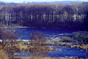 Der Pantener Moorweiher im Winter