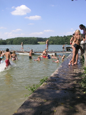 Behlendorfer See